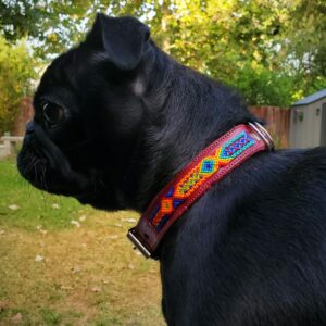 Collar Simple 2 cm de ancho