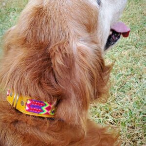 Collar Simple 3.5 cm de ancho