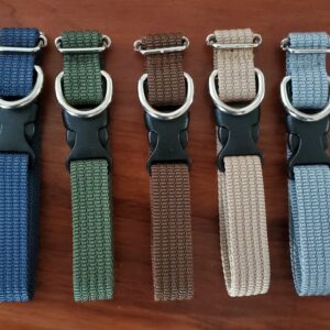 Collar Ajustable Mediano Vanguardia