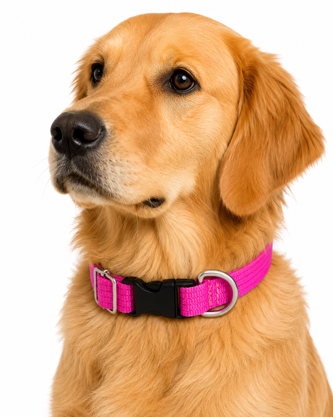 Collar Ajustable Mediano Vanguardia - Image 4