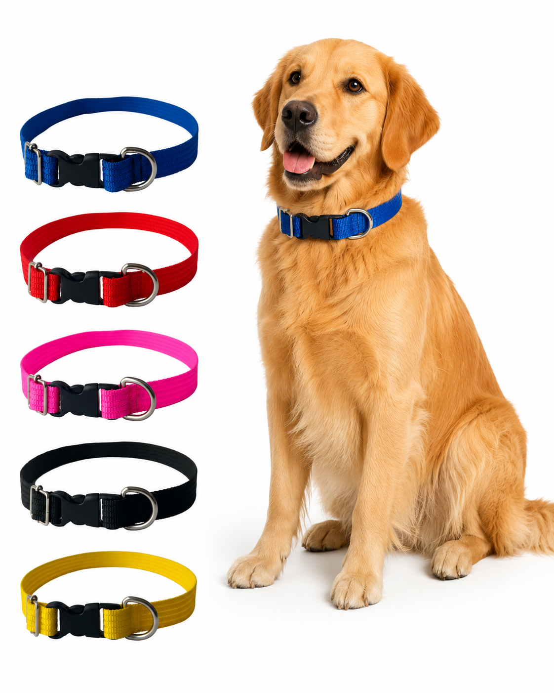 Collar Ajustable Mediano Vanguardia - Image 7