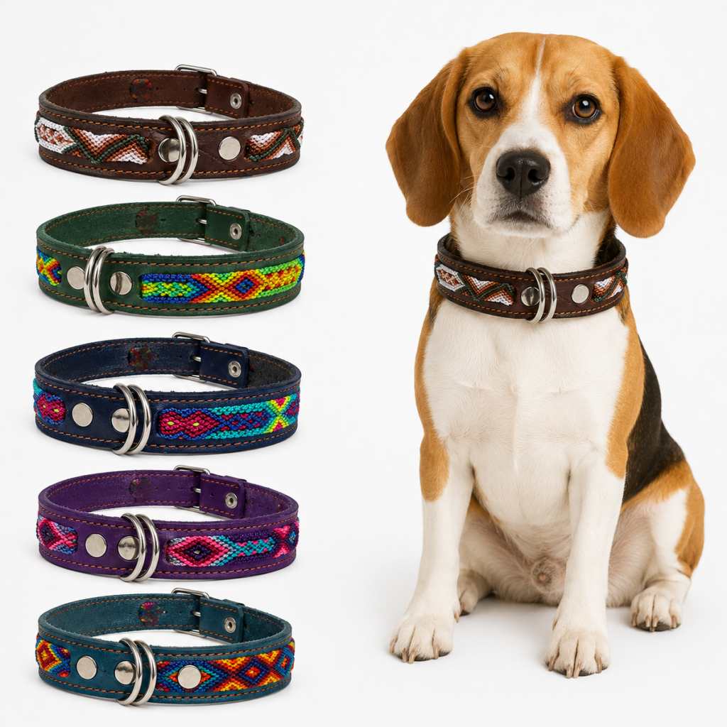 Collar para Perro Artesanal Simple 2 cm de ancho