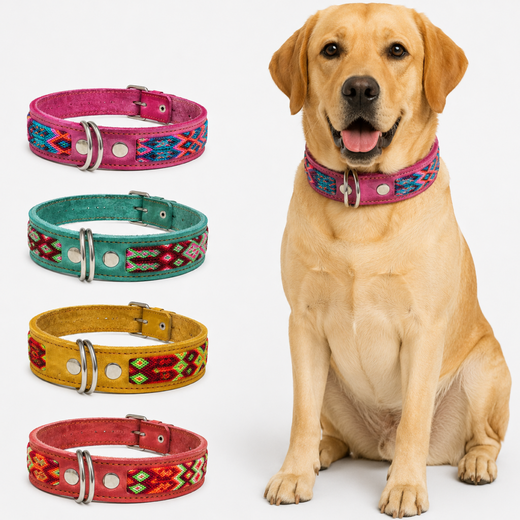 Collar para Perro Artesanal Simple 3.5 cm de ancho