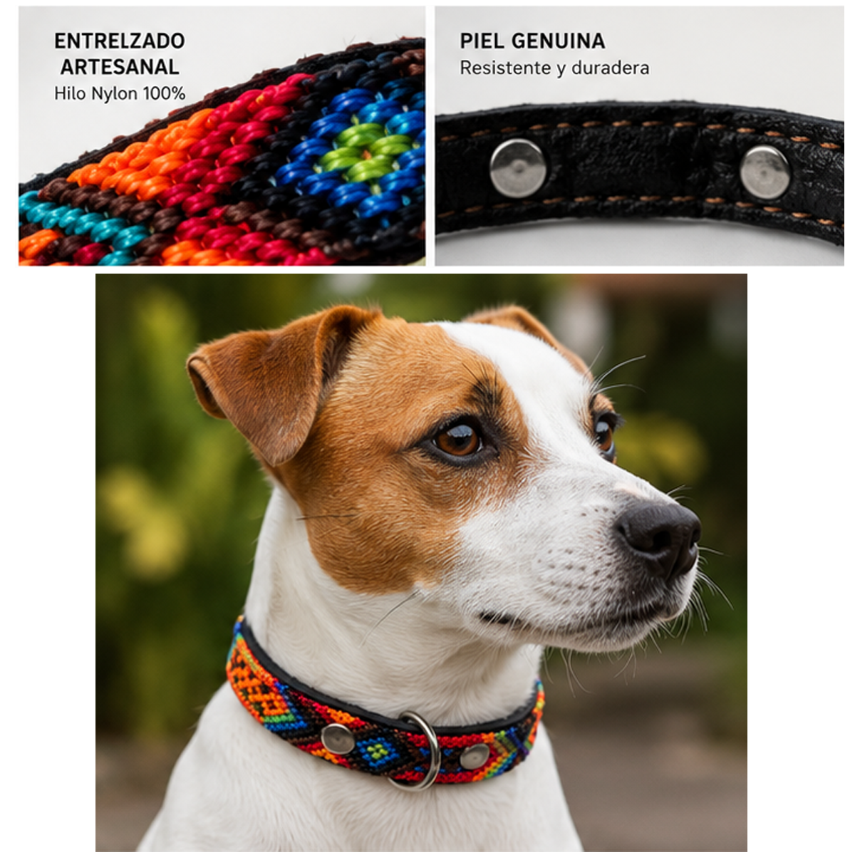 Collar para Perro Artesanal Simple 1 cm de ancho - Image 4