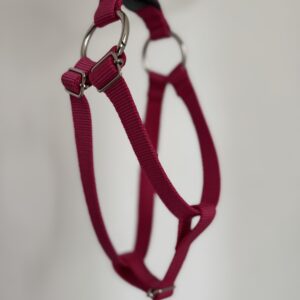 Pechera para Perro Vanguardia