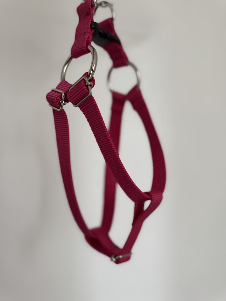 Pechera para Perro Vanguardia