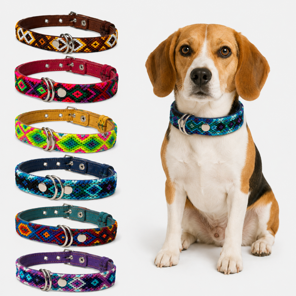 Collar para Perro Artesanal Corrido 2 cm de ancho