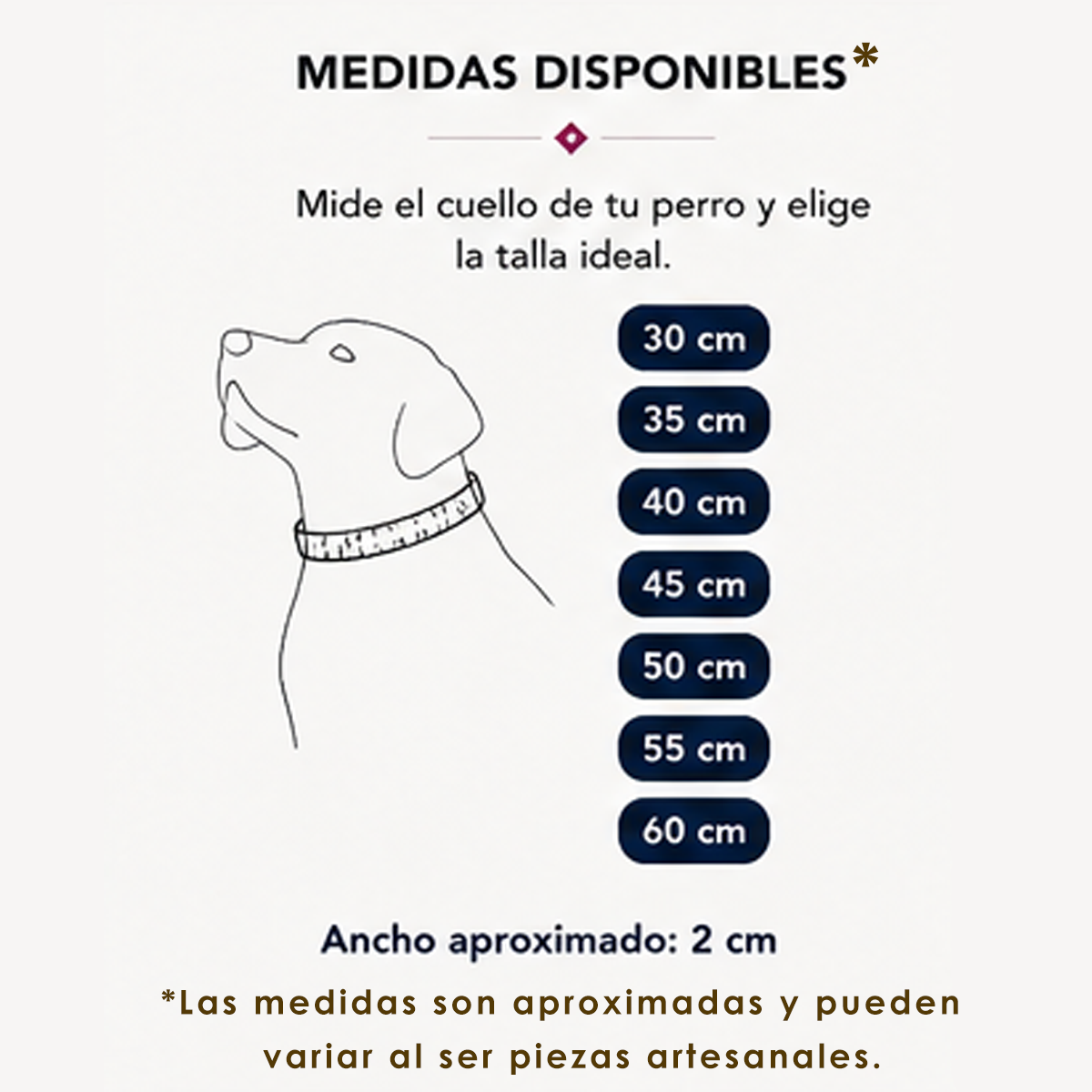 Collar para Perro Artesanal Corrido 2 cm de ancho - Image 5