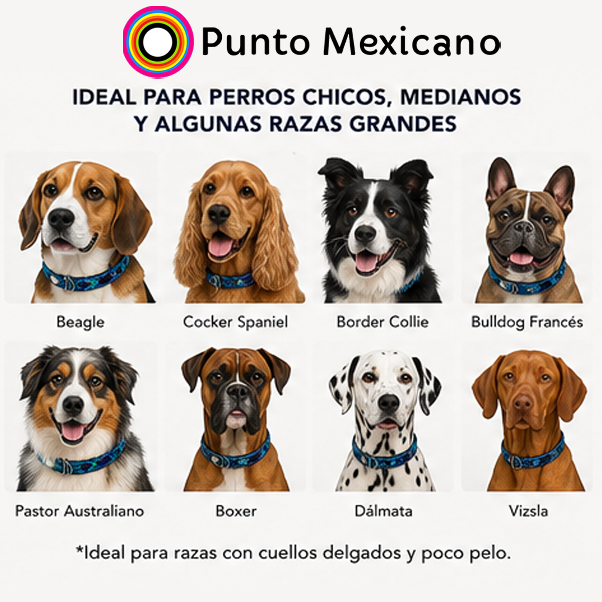 Collar para Perro Artesanal Corrido 2 cm de ancho - Image 6